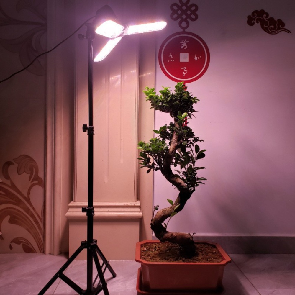 Light Bulb Stand 2M, E27 AC So - Photography Umbrella Light ulasan dan harga