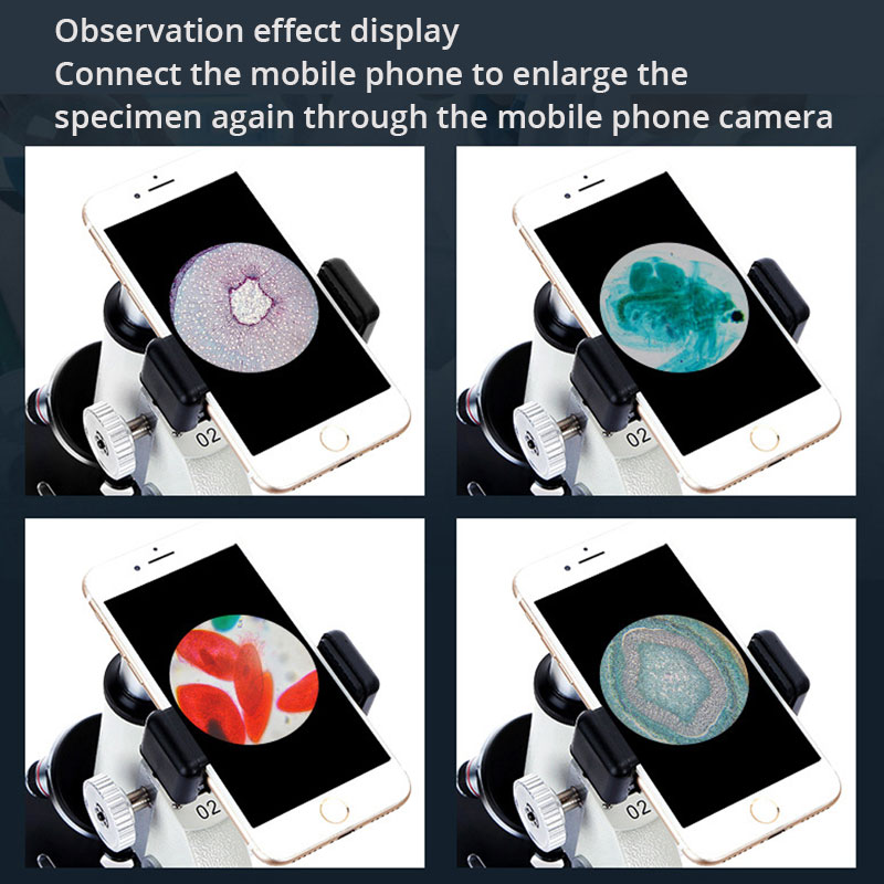 Optical Professional Biologica - Photography University ulasan dan harga