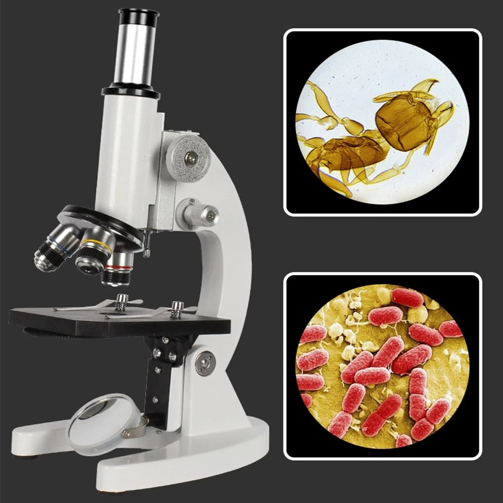 Optical Biological Microscope  - Photography University ulasan dan harga